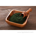 Pure Vulgaris Chlorella Powder / Chlorella Extract Powder